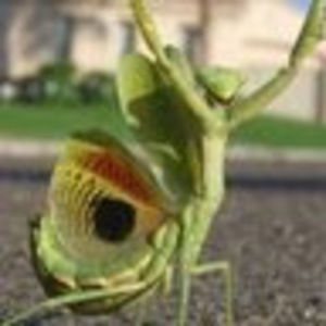 Meet your Posher, Josh